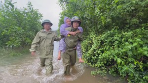 Quảng Ngãi chủ động ứng phó mưa lớn gây ngập sâu 