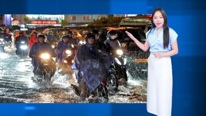 Thời tiết đêm 8 ngày 9-10: Nam Bộ mưa về chiều tối, Trung Bộ mưa to 