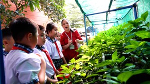 Ở ngôi trường tiểu học mỗi lớp có một vườn rau, bàn ghế điều chỉnh theo chiều cao học sinh 