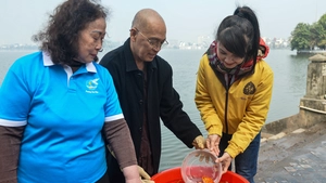 Thả cá chép không thả túi ni lông, bờ sông 'sạch bong' ngày đưa ông Táo