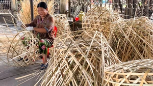 Làng nghề đan giỏ trạc lâu đời ở Xuân Thới Sơn, TP.HCM tất bật vào vụ Tết