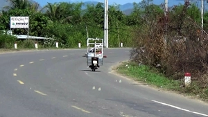 Video bướm đồng bay rợp trời, cắt ngang Quốc lộ 26