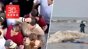 Bản tin 30s Nóng: Tạm giữ 11 người trong vụ dàn cảnh cướp giật; Xác cá voi 10m dạt vào bờ biển