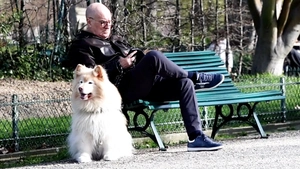 Chính sách dành cho thú cưng khiến cuộc đua thị trưởng Paris trở nên gay cấn