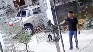 Chủ xe bán tải gây cản trở giao thông ở Nghệ An bị phạt 5 triệu đồng