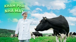 Khám phá hành trình 12 bước: Từ đồng cỏ xanh đến ly sữa sạch TH