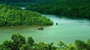 Du lịch Cần Giờ: Còn thiếu gì để tiến tới phát triển bền vững?