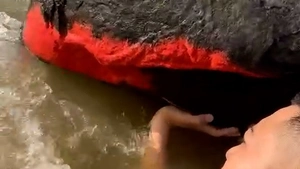 Tảng đá trên sông ở Đà Nẵng 'nở hoa' đỏ rực, có gì bất thường?