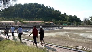 Đảo Hải Tặc lo thiếu nước ngọt giữa cao điểm nắng nóng