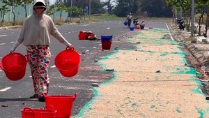 Ven biển Đắk Lắk vào mùa phơi ruốc