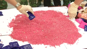 Vận chuyển 24.000 viên hồng phiến để lấy 30 triệu đồng tiền công, 2 thanh niên bị bắt