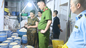 Khởi tố hai chủ cơ sở dùng chất cấm sản xuất 160 tấn giá đỗ bán ra thị trường