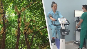 Góc nhìn trưa nay: Điểm check-in vườn dâu xứ cù lao gây 'sốt'; Chăm sóc sức khỏe cho người cao tuổi: Chuyên sâu và đa tầng