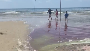 Nước biển Vũng Tàu đổi màu lạ, du khách e ngại không dám tắm