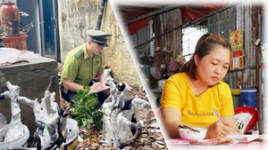 Góc nhìn trưa nay: Cục Lâm nghiệp và Kiểm lâm chỉ đạo về cây muội hồng; Bữa cơm teo tóp trong cơn bão giá