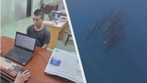 Góc nhìn trưa nay: Gần 100 con cá voi bơi qua vùng biển Phú Quý; Bắt khẩn cấp thanh niên đánh người sau va chạm