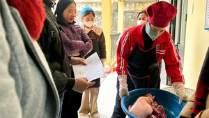 Thịt lợn trong bữa ăn bán trú nhiễm tả châu Phi, hiệu trưởng bị đình chỉ 14 ngày