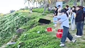 Chính quyền vào cuộc vụ người phụ nữ quăng ghế xuống vực ở bán đảo Sơn Trà