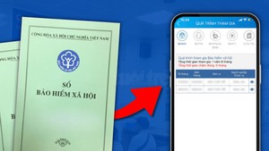 Nghỉ việc mới tá hỏa vì công ty nợ BHXH: Hướng dẫn 3 cách tự kiểm tra quá trình đóng BHXH ai cũng làm được