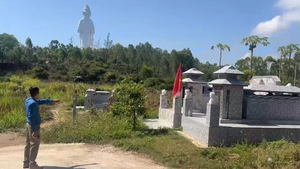 Đất trồng cây lâu năm bị 'phân lô bán mộ' thành khu an táng tự phát