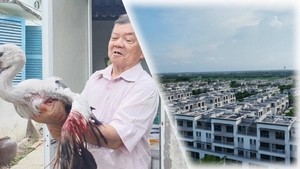 Góc nhìn trưa nay: Kiểm tra thông tin vườn chim Hai Chìa bị phá hoại; Gỡ nút thắt chênh lệch giá đất