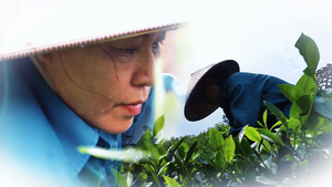 Để những ước mơ không bị dang dở
