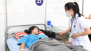 Phạt 80 triệu, đình chỉ 3 tháng tiệm bánh mì khiến 86 người ngộ độc tại Đắk Lắk