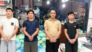 Khởi tố 4 người làm hơn 1.000 tấn giá đỗ bằng hóa chất, bán ra thị trường thu 8 tỉ đồng