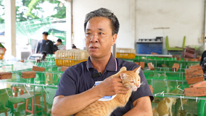 Mèo thất lạc trở về với chủ, nhiều người xúc động cảm ơn Công an TP.HCM