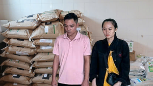 Công an Cần Thơ khởi tố hai vợ chồng lập nhiều công ty để sản xuất, buôn bán phân bón giả