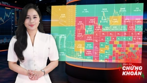 Bản tin chứng khoán: VN-Index thủng 1.800 điểm, chuyên gia dự báo gì cho nửa cuối tháng 6?