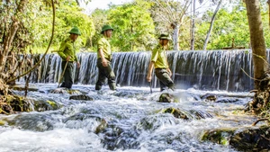Sớm trình phương án chuyển Vườn quốc gia Cát Tiên về TP Đồng Nai quản lý