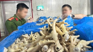 Bắt giám đốc và nhân viên liên quan vụ doanh nghiệp tuồn 10.000 tấn chân gà 'bẩn' ra thị trường