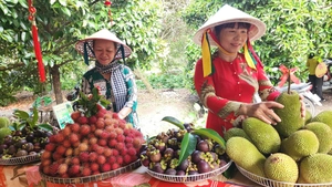 'Đánh thức' tiềm năng du lịch cộng đồng ven sông Sài Gòn