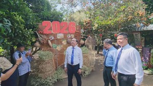 Góc nhìn trưa nay: TP.HCM: Du khách trải nghiệm chèo xuồng, đi ca nô, hái trái cây, làm bánh cùng người dân Bình Mỹ 