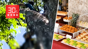 Bản tin 30s Nóng: Người đàn ông đi lấy mật ong bị chết trên cây; Khai mạc Tuần lễ buffet sầu riêng