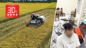 Bản tin 30s Nóng: Loại gạo giá 112.000 đồng/kg ở miền Tây; Thêm một người bán hàng giả bị khởi tố