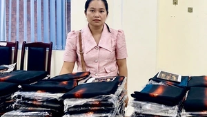 Chủ thương hiệu vải áo dài Đất Lành bị khởi tố