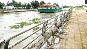 Cận cảnh nhiều đoạn bờ kè kênh xáng Xà No ở Cần Thơ hư hỏng, chờ vốn sửa chữa