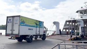 Nhiều tài xế phải xuống xe lội bộ mua vé khi qua phà Đại Ngãi, quản lý bến nói gì? 