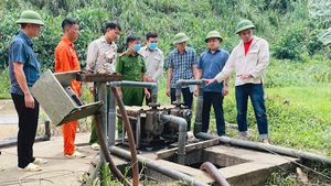 Năm người tử vong sau sự cố tại trang trại chăn nuôi heo ở Thanh Hóa