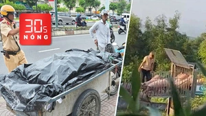 Bản tin 30s Nóng: TP.HCM quyết dẹp xe ba gác chở hàng cồng kềnh; Khởi tố 6 người mua bán heo bệnh