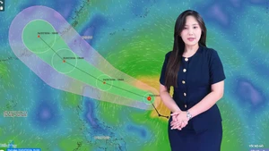 Thời tiết đêm 23 ngày 24-7: Áp thấp nhiệt đới trên Biển Đông, khả năng thành bão; Bắc Bộ mưa to