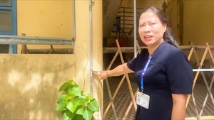 Hiệu trưởng lên tiếng về clip trường xuống cấp khiến phụ huynh lo lắng