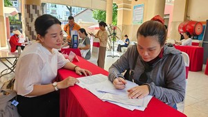 TP.HCM triển khai tuyển sinh bổ sung đầu cấp