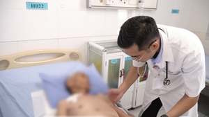 Lọc máu liên tục cứu cụ ông 98 tuổi bị đàn ong vò vẽ đốt gần 80 vết