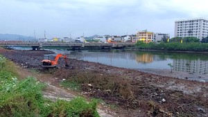  Chặt bỏ cây mọc trái thiết kế dự án thoát lũ hơn 593 tỉ đồng ở Nha Trang