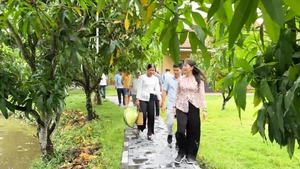 Mô hình nghỉ dưỡng thu hút du khách ở thủ phủ xoài Cao Lãnh