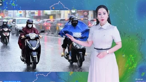Thời tiết đêm 8 ngày 9-7: Bắc Bộ và Nam Bộ mưa dông về chiều tối; Trung Bộ tiếp tục nắng nóng