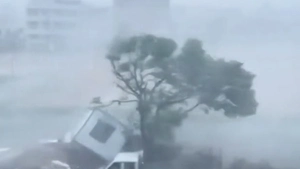 Video bão Dolphin sức gió 151km/h càn quét, Trung Quốc sơ tán khẩn 1,5 triệu người